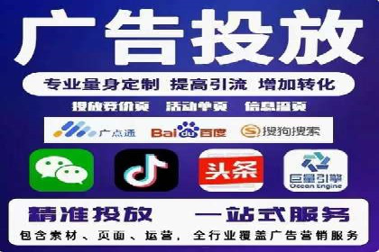 某知名品牌SEM运营策略及效果评估